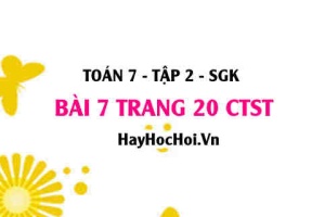 Bài 7 trang 20 Toán 7 Tập 2 Chân trời sáng tạo